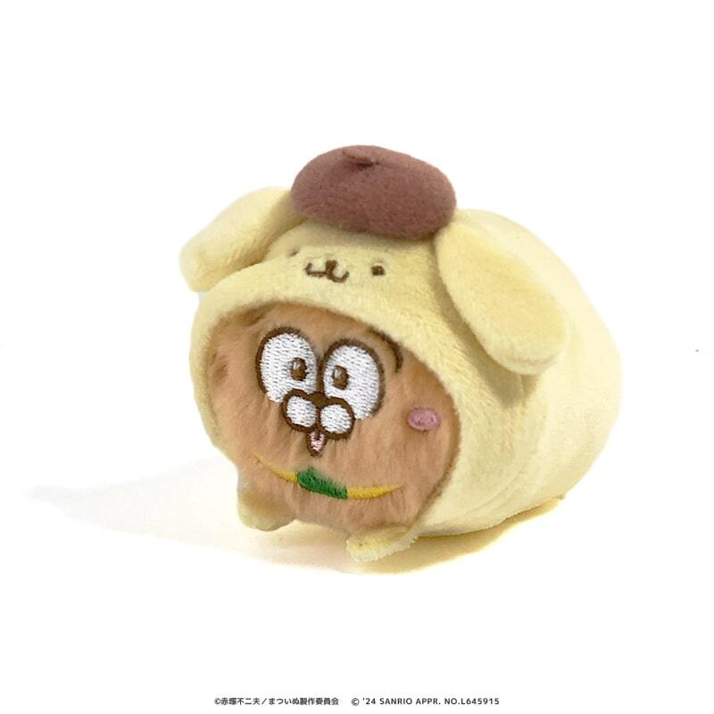 まついぬ×サンリオキャラクターズ もちころりん ポメラニアン