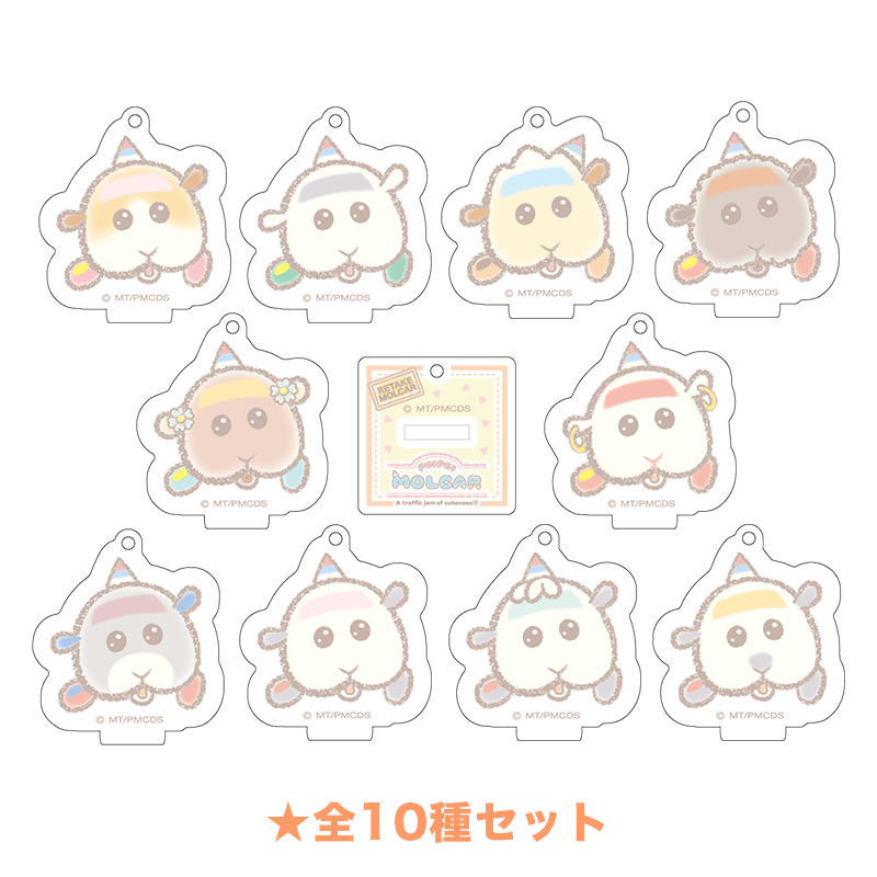 PUI PUI モルカー DRIVING SCHOOL -DesignProduced by Sanrio- ミニアクリルスタンドキーホルダー 全10種セット