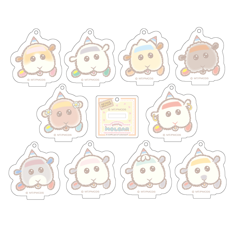PUI PUI モルカー DRIVING SCHOOL -DesignProduced by Sanrio- ミニアクリルスタンドキーホルダー（全10種）